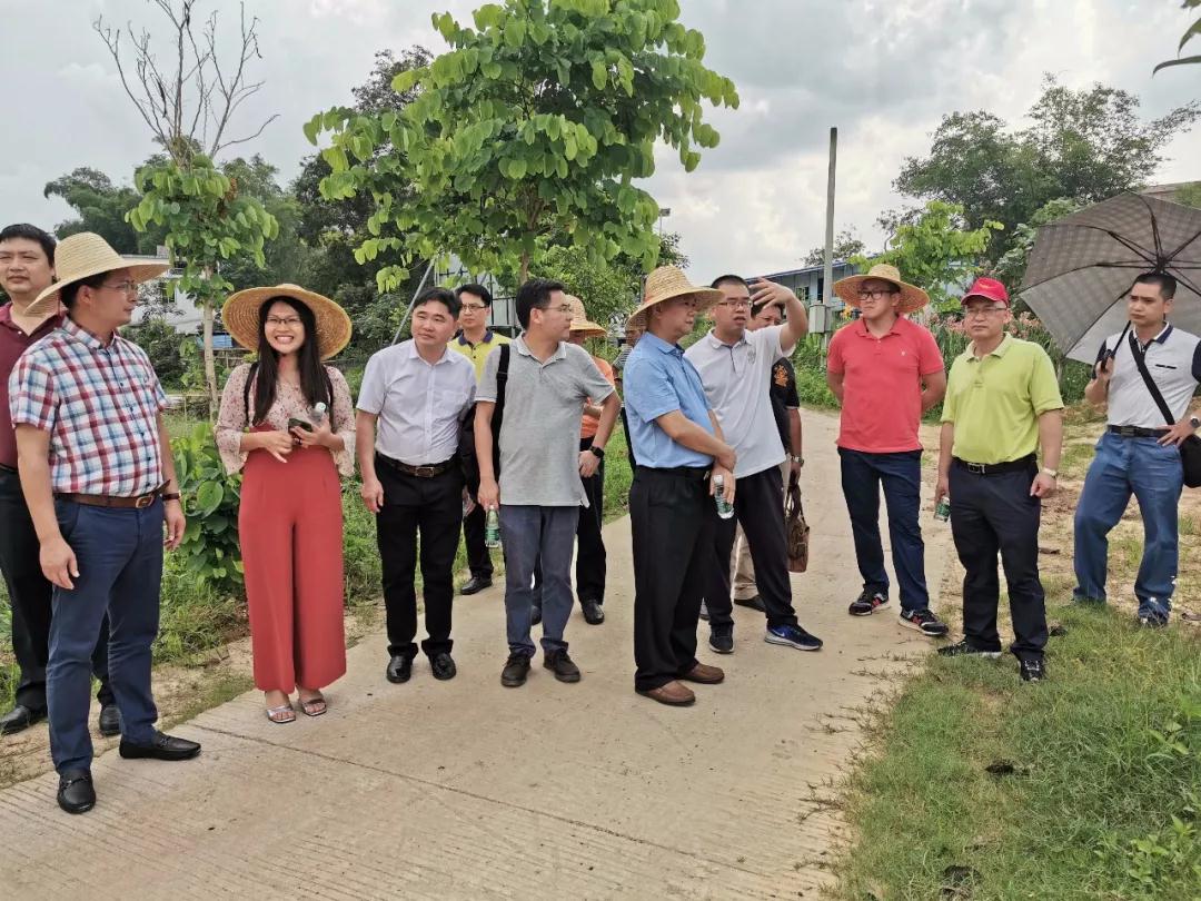 微信圖片_20190609114716